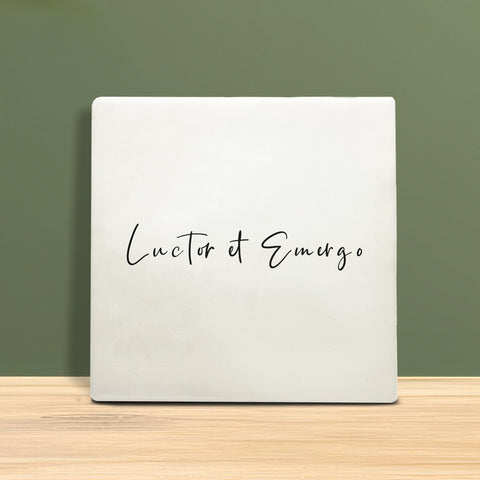 Tegeltje met tekst - Luctor et Emergo