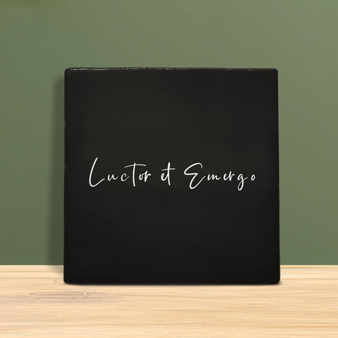 Tegeltje met tekst - Luctor et Emergo