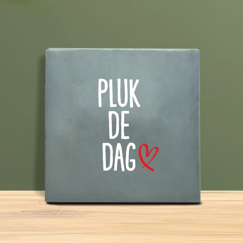 Tegeltje met tekst - Pluk de dag