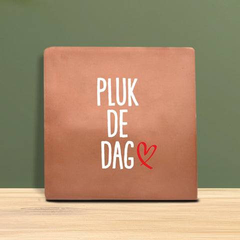 Tegeltje met tekst - Pluk de dag